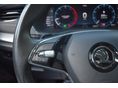 SKODA OCTAVIA 2023/4 - 13