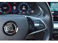 SKODA OCTAVIA 2023/4 - 14