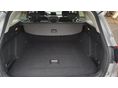 FORD FOCUS 2020/2 - 11