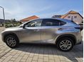 LEXUS NX 2021 - 2
