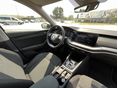 SKODA OCTAVIA 2021/7 - 8