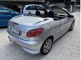 PEUGEOT 206 2004/12 - 7