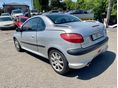 PEUGEOT 206 2002/12 - 6
