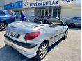 PEUGEOT 206 2002/12 - 9