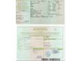 DACIA LODGY 2016/5 - 12