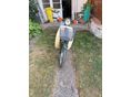 HONDA EGYÉB Super Cub