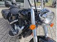 HONDA VT 1100 C 2001 - 6
