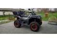 GOES TERROX 1000/Premium-Limited
