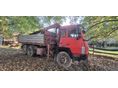 STEYR 19S32