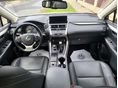 LEXUS NX 2019/9 - 12