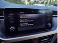 SKODA SCALA 2022/3 - 19