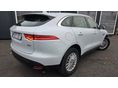 JAGUAR F-PACE 2017/2 - 4