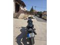 HONDA CB 600 F (HORNET) 2008/7 - 5