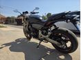 HONDA CB 600 F (HORNET) 2008/7 - 8