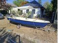 GERGELY 440 2024 - 2