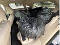 BMW 420 2016/5 - 10
