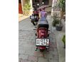 JAWA 250/559 1969 - 9