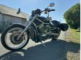 HARLEY-DAVIDSON V-ROD (VRSCA) 2008/1 - 3