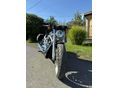 HARLEY-DAVIDSON V-ROD (VRSCA) 2008/1 - 4