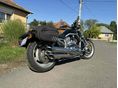HARLEY-DAVIDSON V-ROD (VRSCA) 2008/1 - 5