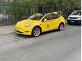 TESLA MODEL Y Long Range AWD (Automata)