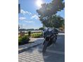 TRIUMPH DAYTONA 675 2008/1 - 2