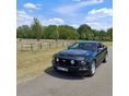 FORD MUSTANG GT 4.6 V8 (Manual)