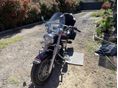 YAMAHA XVS 1300 A MIDNIGHT STAR 2009 - 4