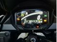 KAWASAKI VERSYS 650 2025/2 - 5