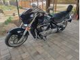 SUZUKI M 1500 (INTRUDER) 2009/9 - 1