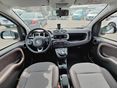 FIAT PANDA 2019/9 - 9