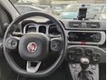 FIAT PANDA 2019/9 - 10