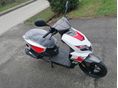 LINEA NOVO 2026 - 10