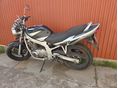 SUZUKI GS 500 E 2002/5 - 5