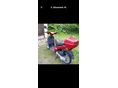 PIAGGIO FREE 50 2010 - 3