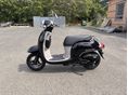 HONDA GIORNO NCH50B