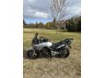 HONDA CBF 600 2006 - 3