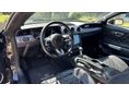FORD MUSTANG 2016/2 - 14