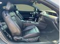 FORD MUSTANG 2023/9 - 10