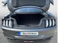 FORD MUSTANG 2023/9 - 11