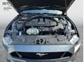 FORD MUSTANG 2023/9 - 12