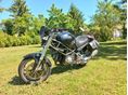 DUCATI MONSTER 600 2002/10 - 2