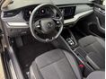 SKODA OCTAVIA 2021/9 - 5