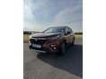 SUZUKI S-CROSS 2024/12 - 3
