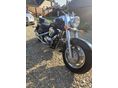 SUZUKI VL 1500 (INTRUDER) 2000/2 - 8