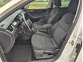 SKODA OCTAVIA 2019/2 - 6