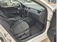 SKODA OCTAVIA 2019/2 - 8