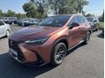 LEXUS NX 2026/3 - 1