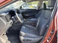 LEXUS NX 2026/3 - 2