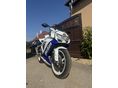 SUZUKI GSX-R 600 2009/4 - 4